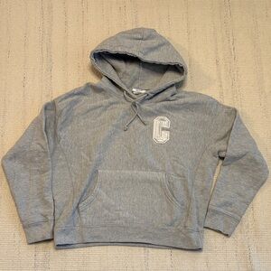 Champion Gray Hooded Women's Sweater
